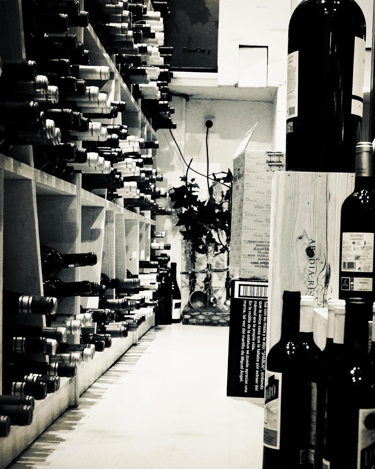 WhatsApp Image 2026-03-13 at 13.15.13